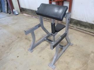 Hammer Strength Arm Curl Bench