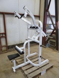 Lever Lat Pull Down