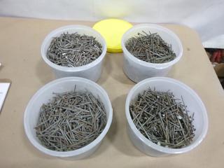 (4) Pails of Assorted Nails (E1)