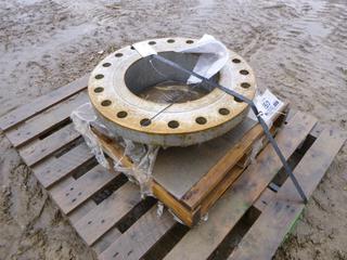 14 In. RFWN #300 Flange 