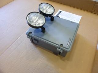 Emergi - Light Emergency Light Fixture (E-1)