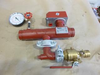Tyco RM-1 Manifold Assembly, 2 In. G x G Commercial (D-1)