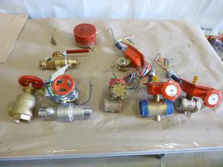 Qty of Brass and Stainless Butterfly Valves w/ Pressure Activated Siren (B1)
