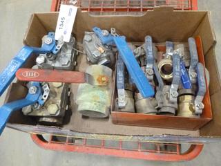 Qty of Brass Globe Valves (O-2-1)
