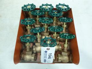 Qty of Brass Globe Valves (B1)