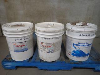 (1) 5 Gallon Pail of Dusty Path Paint, Opened & (2) 5 Gallon Pails of Citriquat Detergent and Deodorant, Opened.