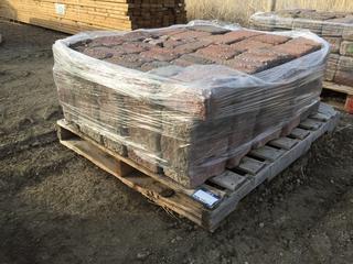 Quantity of Red Interlocking Brick.