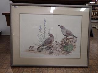 California Quail Print. 31 In. x 25 In.