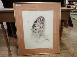 Owl Print. 19 In. x 23 In.