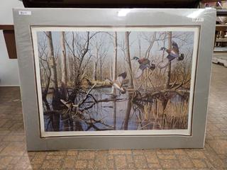 "Flooded Timber Woodies" by Richard Passchaert Print. 30 1/2 In. x 22 1/2 In.