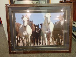 Horses Picture. 43 In. x 33 1/3 In. *Note: Frame Is Broken*