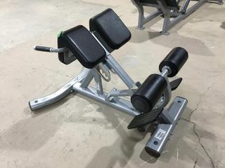 Life Fitness SBE-H102-102  Back Extension, S/N 101226514340.