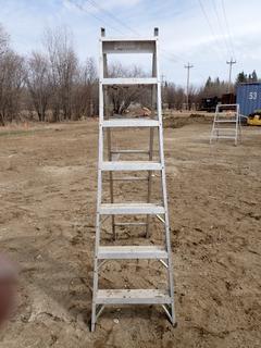 Featherlite 14ft Multi-Position Ladder
