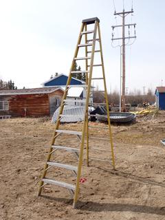 12ft Step Ladder