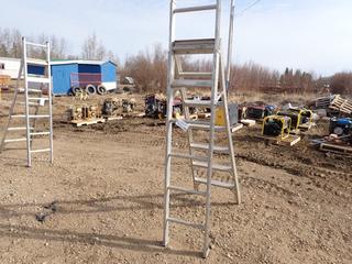 14ft Multi-Position Ladder