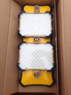 Model 9700 10-Light LED String Lights