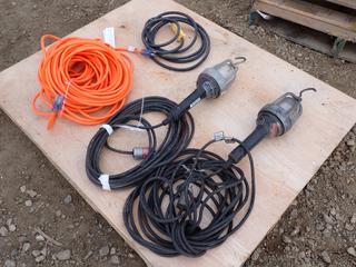 (2) Model XP-162 100W Hazardous Location Work Lights C/w (2) Extension Cords