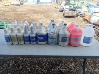 (1) Jug Of Hand Sanitizer, D-Scum Foaming Safety Acid Detergent Cleaner, (2) Jugs Of Pink Pearl Soap And Proxi Stain Remover