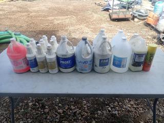 (2) Jugs Of Hand Sanitizer, D-Scum Foaming Safety Acid Detergent Cleaner, (1) Jug Of Pink Pearl Soap, Proxi Stain Remover And Assorted Cleaners