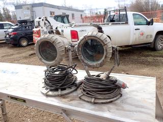 (2) Appleton Electric Industrial Spot Lights. SN 76089872, SN 76089872