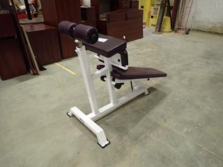 Atlantis Decline Sit Up Bench (H)