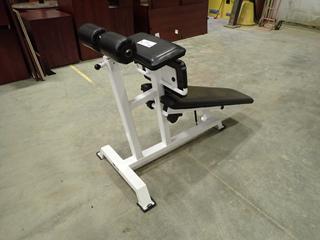 Atlantis Decline Sit Up Bench (H)