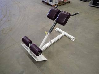 Hyper Extension Bench, 48 In. x 27 In. x 32 In. (Z)