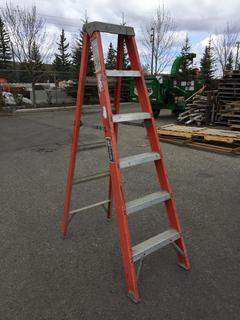 Louisville 6 Ft. Fiberglass Step Ladder.