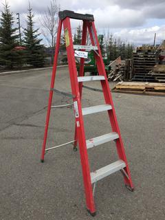 Lite Products Type 2 6 Ft. Fiberglass Step Ladder.