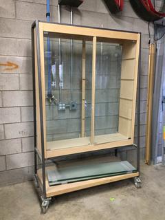 Custom Built Rolling Cabinet, 49 In. x 21 In. x 76 In.