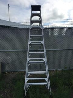 10 Ft Aluminum Step Ladder.