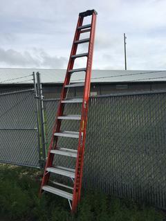 12 Ft Sturdy Fiberglass Step Ladder.