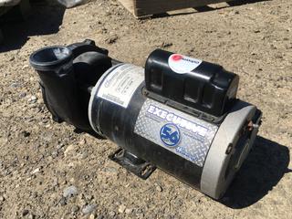 Waterway Insulated Wet End Pump. *Requires Repair*