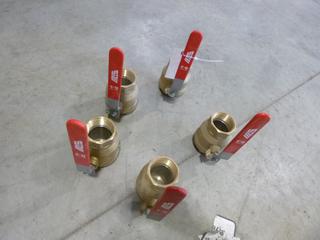 Qty Of (5) Unused 2 1/2 In. Ball Valves