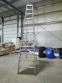 Louisville 12 Ft Step Ladder