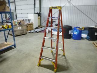 Werner 6ft Fiberglass Step Ladder