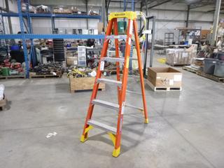 Werner 6206CA 6ft Fiberglass Step Ladder