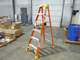 Werner 6 Ft. Fiberglass Step Ladder