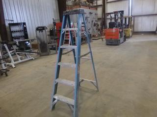 6 Ft. Werner Fiberglass Step Ladder, 250 Lbs. Weight Rating (Z)