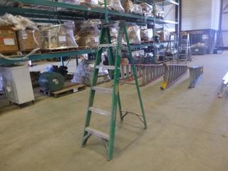 6 Ft. Werner Fiberglass Step Ladder, 225 Lbs. Weight Rating (Z)