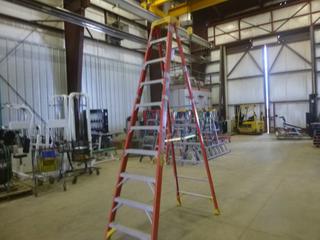 10 Ft. Werner Fiberglass Step Ladder, 300 Lbs. Weight Rating (Z)