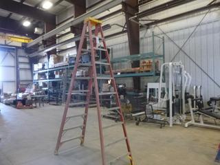 10 Ft. Werner Fiberglass Step Ladder, 300 Lbs. Weight Rating (Z)