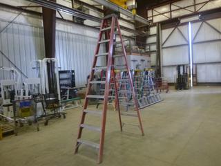 10 Ft. Sturdy Fiberglass Step Ladder, 300 Lbs. Weight Rating (Z)