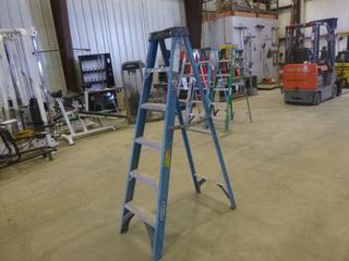 6 Ft. Werner Fiberglass Step Ladder *Note: Weight Rating Unknown* (Z)