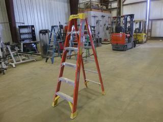 6 Ft. Werner Fiberglass Step Ladder, 300 Lbs. Weight Rating (Z)