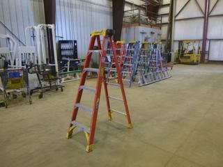 6 Ft. Werner Fiberglass Step Ladder, 300 Lbs. Weight Rating (Z)