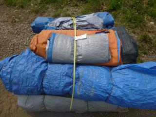 Qty of Assorted Sized Tarps (YN-02)