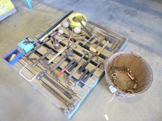 Qty of Misc. Items Includes Hand Tools, Hose, Baseballs and More (K-1-3)