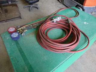 Gauges w/ Hoses Attached and Qty of Air Hose w/ Connections (OS)