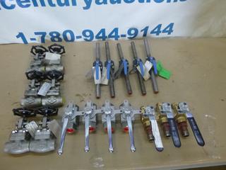 Qty of Assorted Valves. 316 Stainless Steel and Carbon (K-3-2)